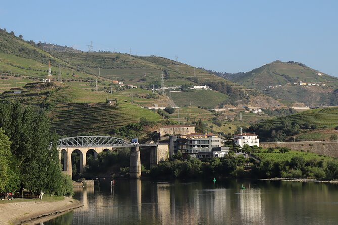 Private tour with 2 wineries and typical harmonized lunch - Lamego winery lunch: regional dishes matched to their own wines