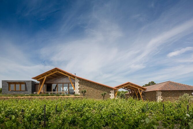Private visit with wine tasting in Alijó Douro - Should You Book This Alijó Douro Private Tasting?