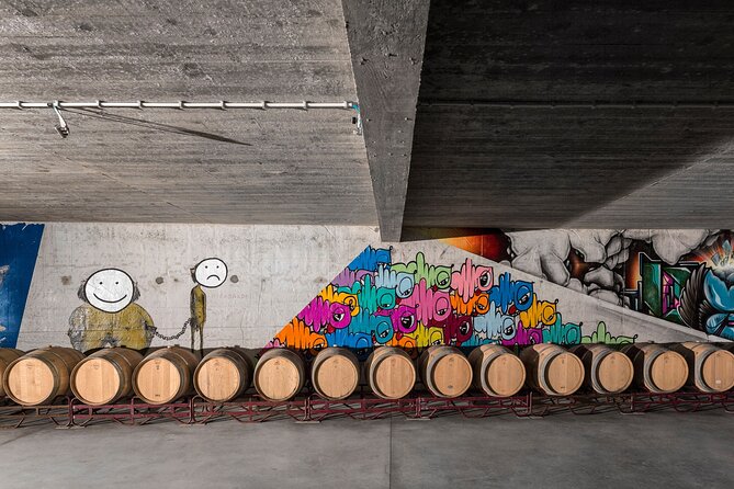 Private visit with wine tasting in Alijó Douro - Cellars With Urban Art: A Unique Setting for Learning