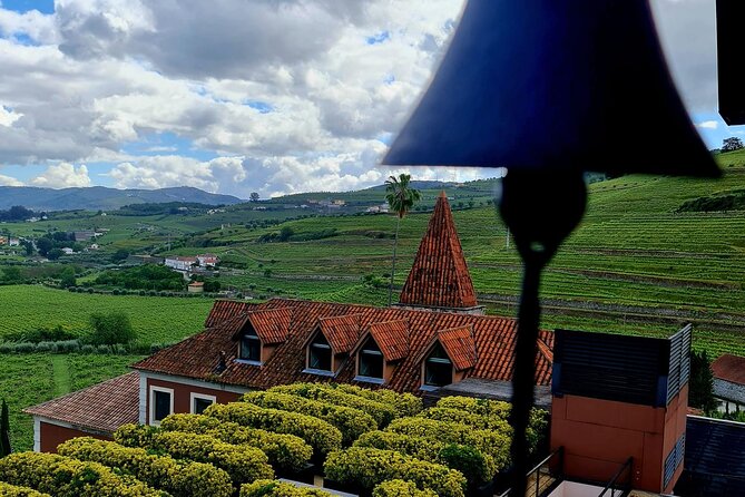 Private Wine Tasting Tour in Douro Valley - Key highlights you should not miss