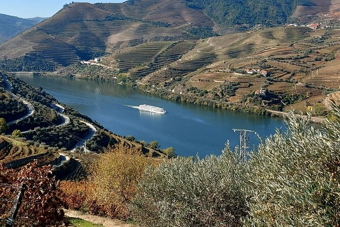 Private Wine Tasting Tour in Douro Valley - A Douro Valley day built for taste, not ticking boxes