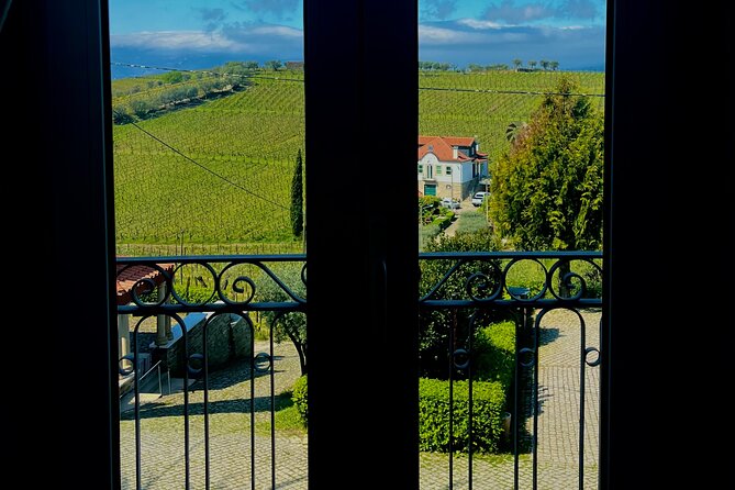 Private Wine Tasting Tour in Douro Valley - Why the guide names matter: José, Manuel, Miguel, Nuno, David, and how they shape your day
