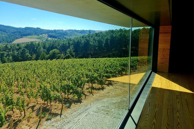 Private Wine Tasting Tour in Douro Valley - The real logistics: 9:30 start, pickup areas, and how to plan your morning