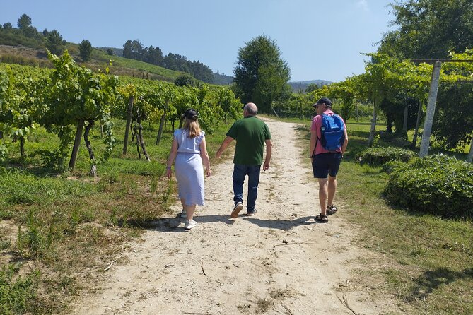 Private Wine Tour Vinho Verde & Douro - Guide Jose and the value of time spent at small wineries