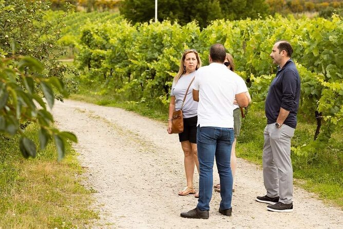 Private Wine Tour Vinho Verde & Douro - Who this tour suits best, and who should think twice