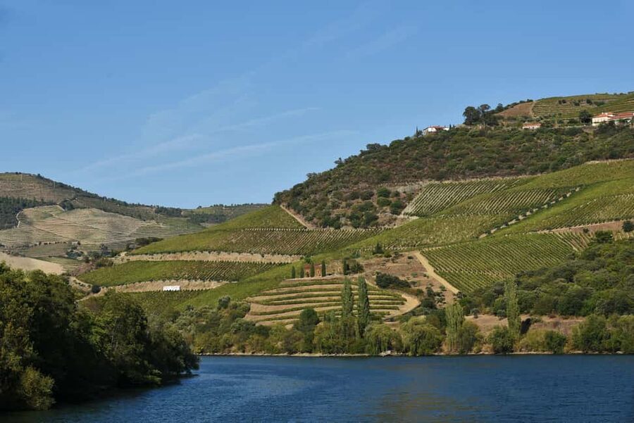 Régua/Pocinho/Régua - Pocinho Pier cruise: eight hours on the Douro, ending at Cais da Régua