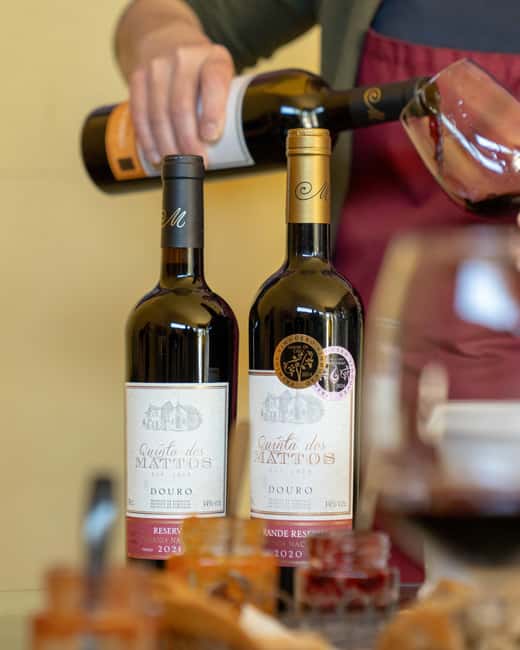 Régua: Wine tasting at a Quinta, traditional lunch, cruise, and train ride - Meeting in Régua, with the Douro already in your face