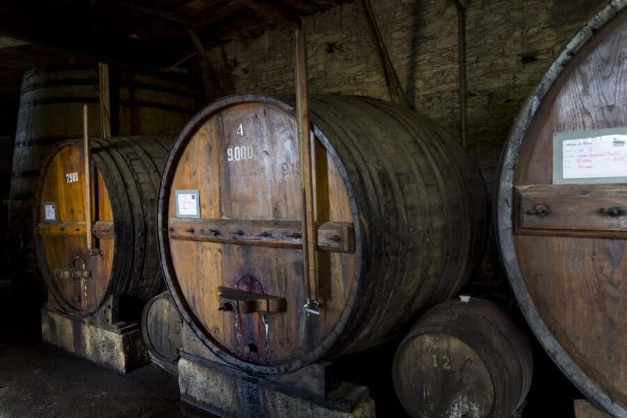 Régua: Wine tasting at a Quinta, traditional lunch, cruise, and train ride - Coimbra de Mattos wine tasting: five wines in a real Quinta setting