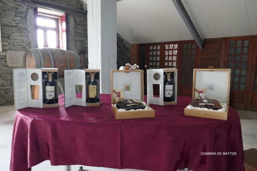 Régua: Wine tasting at a Quinta, traditional lunch, cruise, and train ride - Pinhão free time and the train back to Régua: scenic and practical