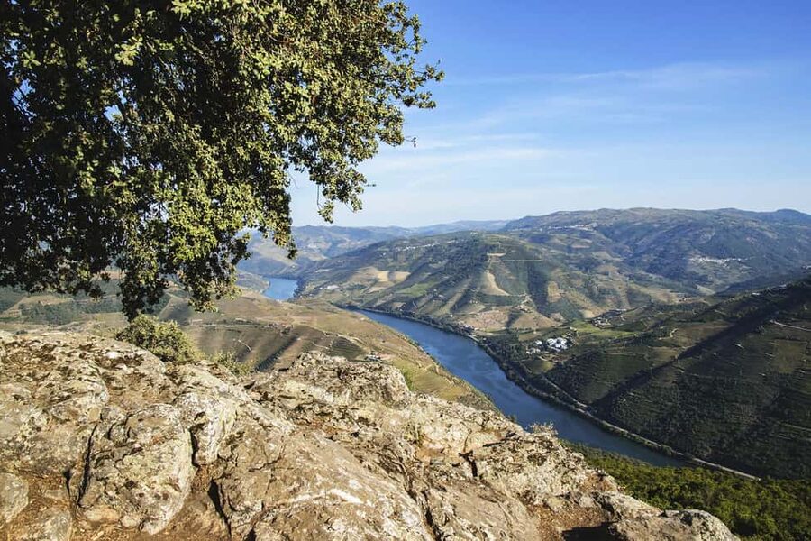 Régua: Wine tasting at a Quinta, traditional lunch, cruise, and train ride - Tips to make this a smoother, better day