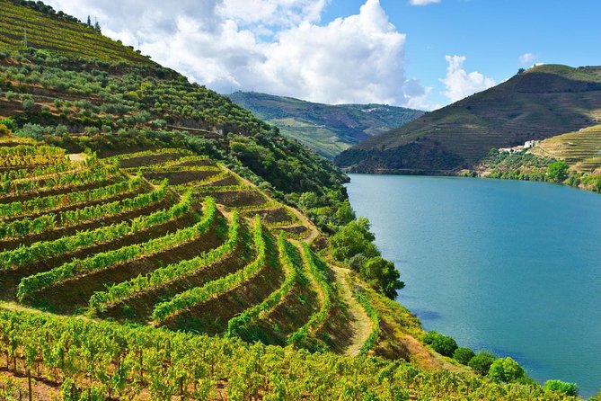 Secrets of Porto and Douro Valley with River Cruise - Five-day rhythm, no big ship required