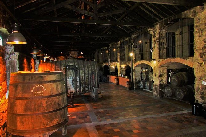 Secrets of Porto and Douro Valley with River Cruise - Who should book this Porto and Douro private tour