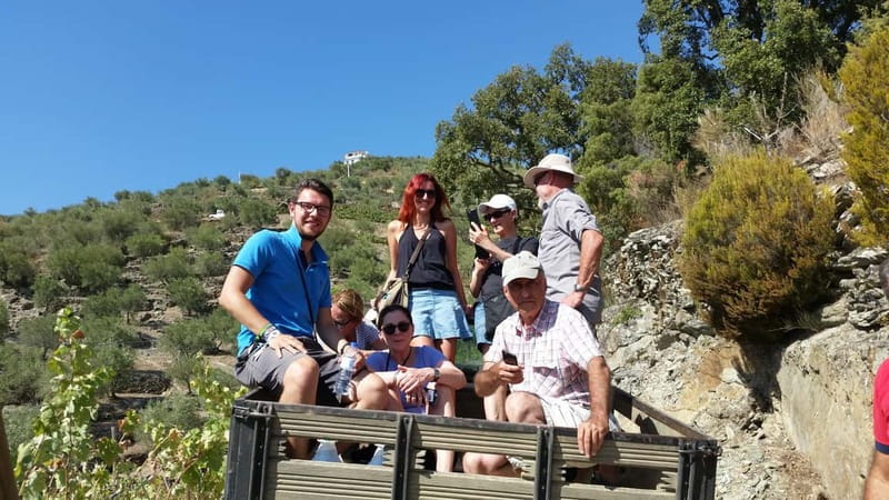 Small Group: Douro Valley Wine Tasting from Porto - Key highlights worth planning around