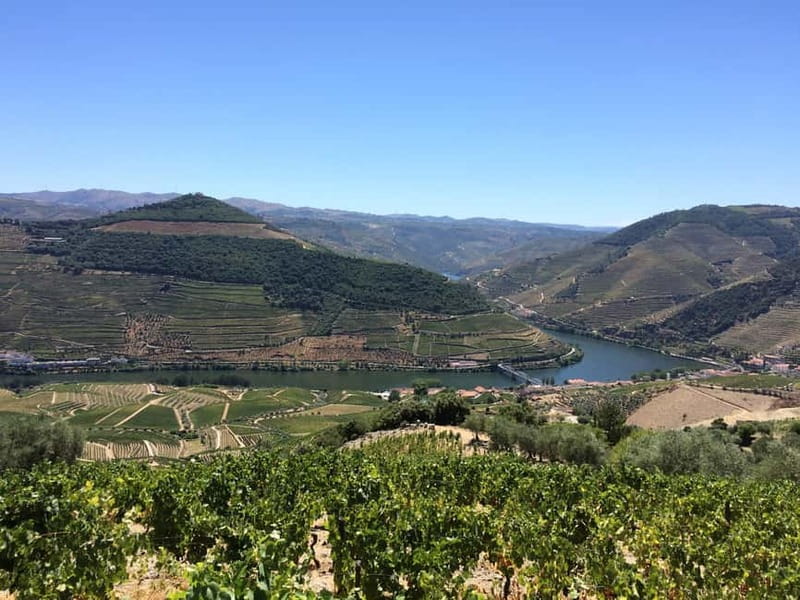 Small Group: Douro Valley Wine Tasting from Porto - Should you book? My practical take