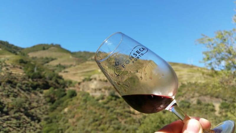 Small Group: Douro Valley Wine Tasting from Porto - Sabrosa lunch: where the wines show up on your plate