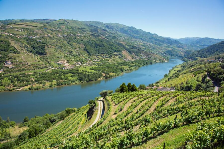 Small Group: Douro Valley Wine Tasting from Porto - How this price stacks up for a full Douro day