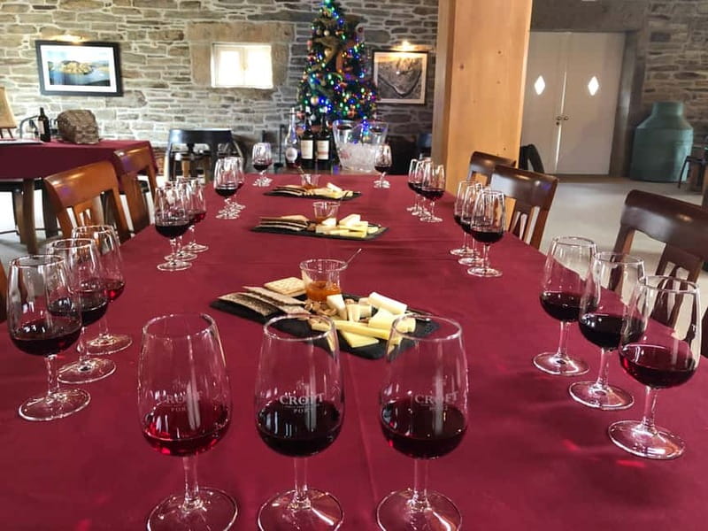 Small Group: Douro Valley Wine Tasting from Porto - Who should book this Douro Valley day