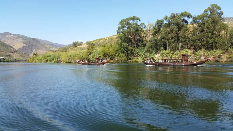 Small Group: Douro Valley Wine Tasting from Porto - Pinhão: Port tasting plus a 1-hour boat cruise