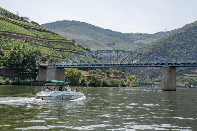 Small Group Douro Valley Wine Tour with Lunch and Cruise - Why this Douro Valley day feels better than a bus tour