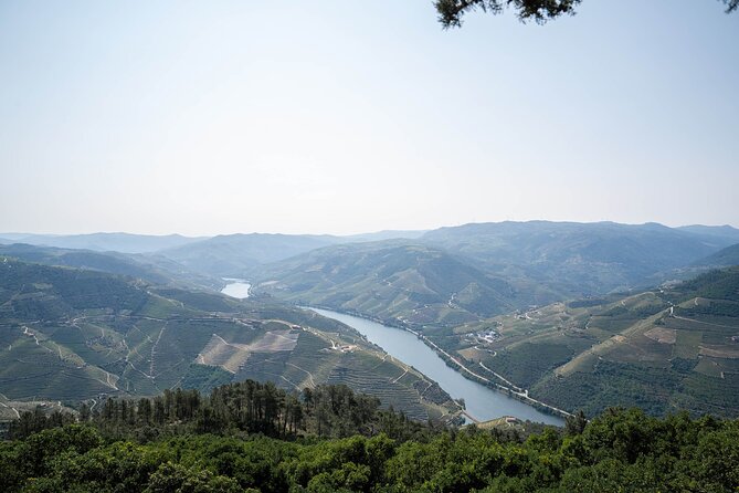 Small Group Douro Valley Wine Tour with Lunch and Cruise - The Douro River cruise from Pinhão: UNESCO terraces and real downtime