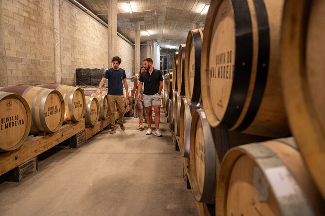 Small Group Douro Valley Wine Tour with Lunch and Cruise - The drive back to Porto: when to plan your evening