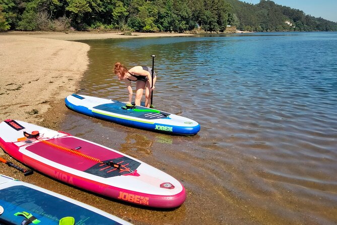 Stand Up Paddle discovering desert beaches of Douro River - Pick Up included - What you paddle on the Douro: beach-like stretches and quiet islets