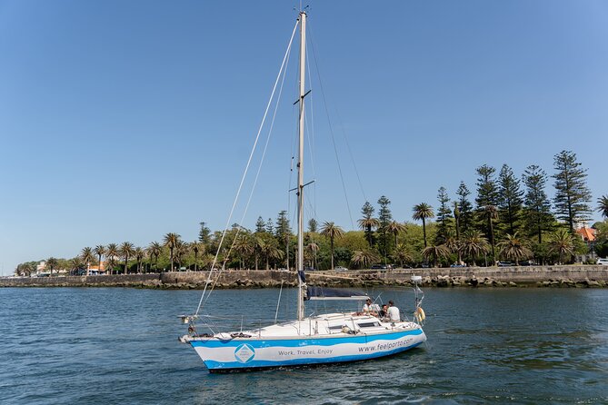 Sunset Cruise on the Douro River - Key highlights to look for