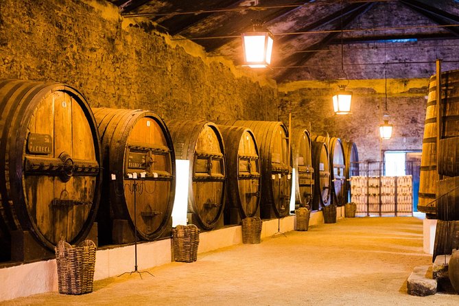 Taste the Douro - Vintage Experience - A Porto-to-Douro Day That Runs Like a Small Operation