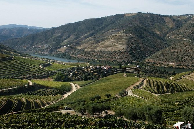 Taste the Douro - Vintage Experience - Price and Value at $417: What You Actually Get