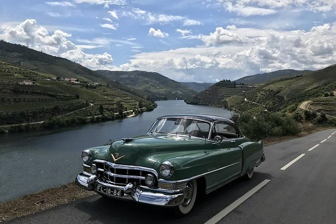 Taste the Douro - Vintage Experience - Timing, Comfort, and What to Bring for a Smooth Day