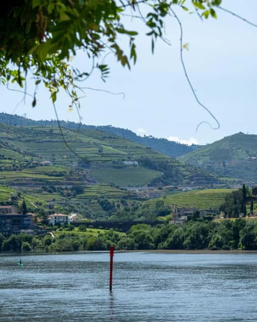 The Douro Valley Tour – Late Start Experience - Lunch in Peso da Régua with wine pairing: plan for a mixed verdict