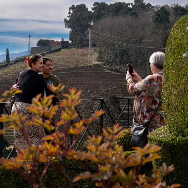 The Douro Valley Tour – Late Start Experience - Olive oil and tastings: the value hidden in the structure
