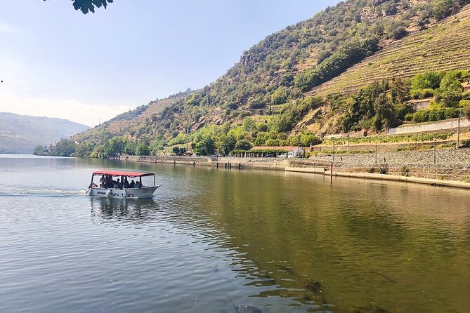 The Douro Valley Wine Affair with Private Boat Trip - Small Group - Guides you might meet: names behind the feel of the day