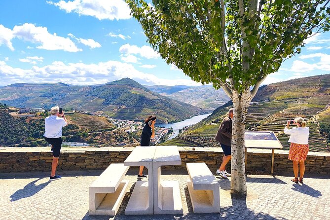 The Douro Valley Wine Affair with Private Boat Trip - Small Group - The ride in an air-conditioned minivan (and why that matters)