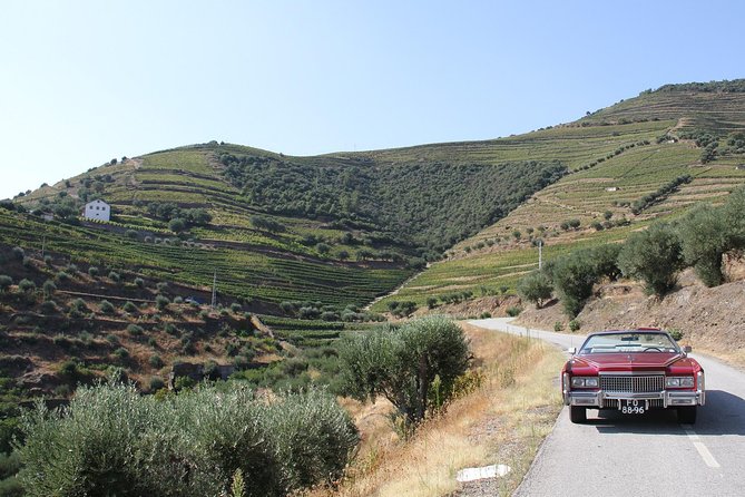 The Luxury Douro tour - The Douro’s River Road Feel and a View-First Lunch at DOC Restaurant