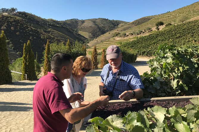 The Luxury Douro tour - Pinhão Producer Visits: From Family Legacy to Boutique Wine Caves