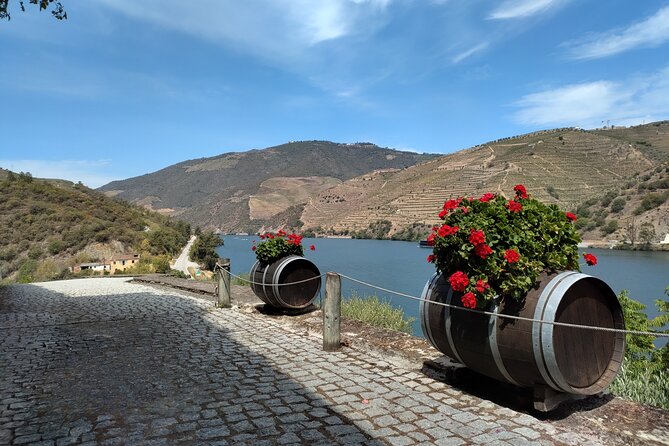 Tour- Douro Wine Region- The Douro Wine Route - What makes the small-group setup feel different