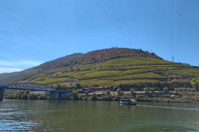 Tour- Douro Wine Region- The Douro Wine Route - Timing and expectations: what to watch for on a long tasting day