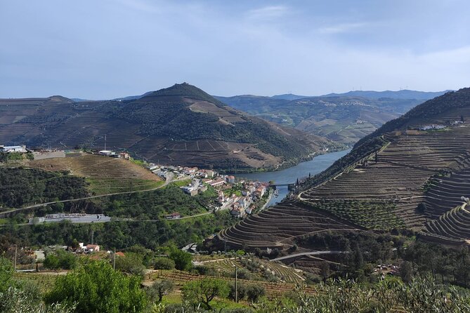 Tour- Douro Wine Region- The Douro Wine Route - Peso da Régua: where the focus turns to small producer wines