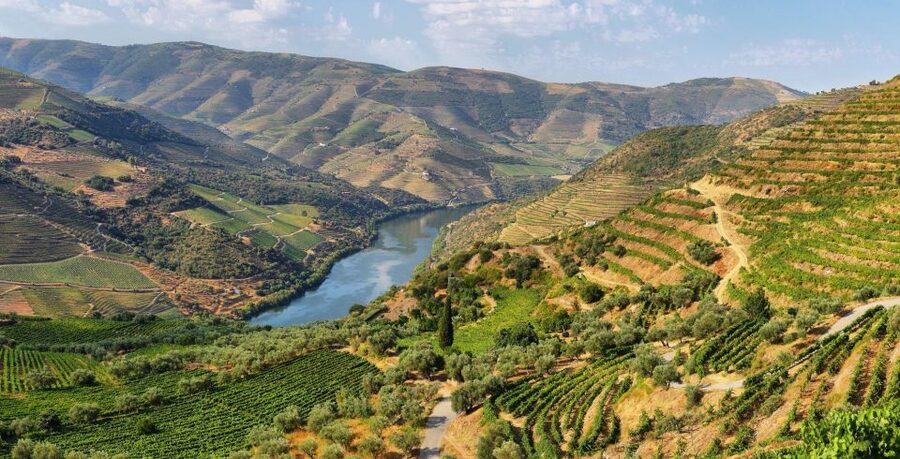 Tour Porto Douro Valley | The richness of Wine | ALL INCLUD. - Should You Book This Porto Douro Valley Wine Tour?