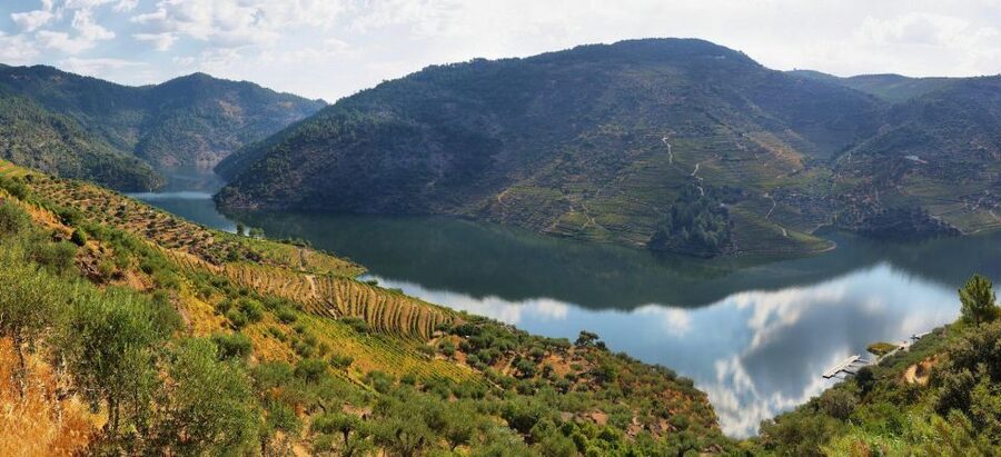 Tour Porto Douro Valley | The richness of Wine | ALL INCLUD. - Price and Value: Is $223 Worth It for a Douro Wine Day?