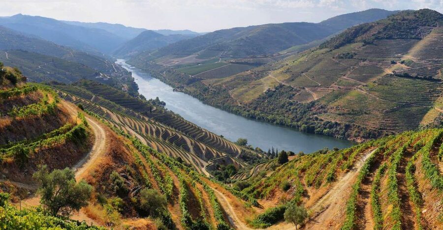 Tour Porto Douro Valley | The richness of Wine | ALL INCLUD. - Who This Tour Fits Best (And Who Should Consider Another Option)