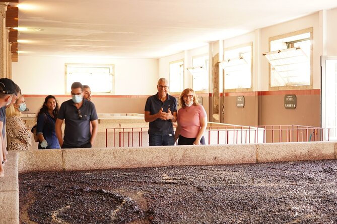 Tour to the Palace of Mateus and the Douro - Getting to Morro in a private sedan, and what that means for your comfort