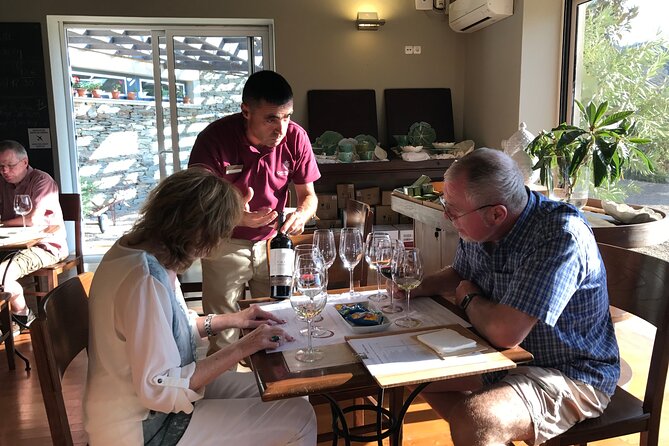 Tour to the Palace of Mateus and the Douro - Stop 3: Quinta das Carvalhas guided vineyard tour plus wine and port tasting