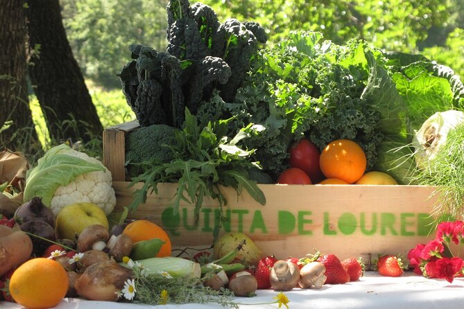 Traditional Cooking Class, Farm Tour & Lunch in the Douro Valley - Key things to know before you go