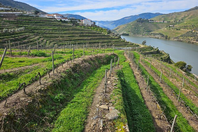 Transfer- Porto to Douro Wine Region (or reverse) - Why a Porto to Douro transfer feels like real travel, not just logistics