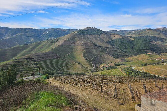 Transfer- Porto to Douro Wine Region (or reverse) - Using driver tips to turn arrival into a smart Douro plan