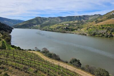 Transfer- Porto to Douro Wine Region (or reverse)