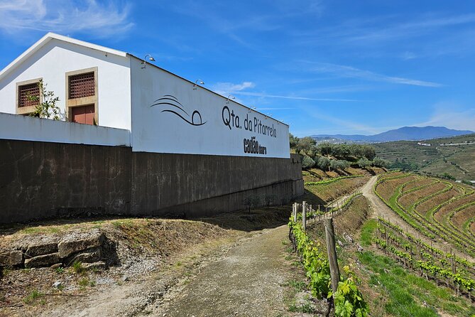 Transfer- Porto to Douro Wine Region (or reverse) - Price and value: paying for time saved and comfort gained