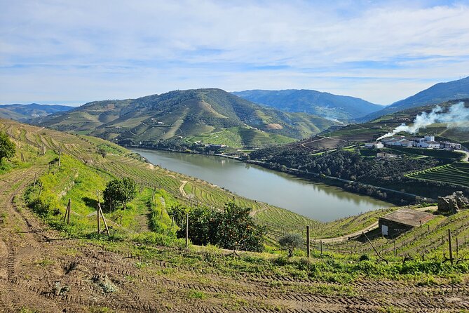 Transfer- Porto to Douro Wine Region (or reverse) - Who should book this transfer (and who might skip it)